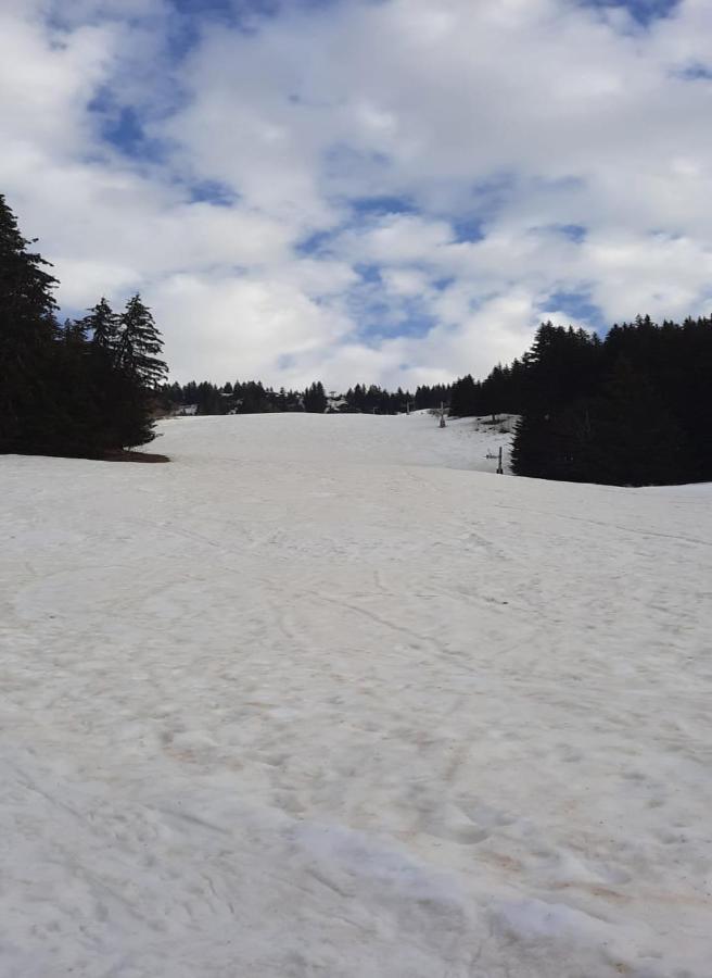 Le Calao - Appartement Au Val D'Arly Flumet Zewnętrze zdjęcie